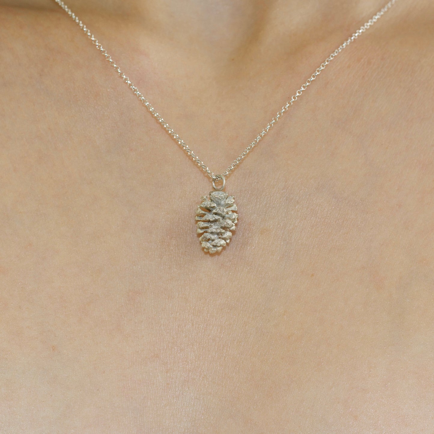 Alder cone