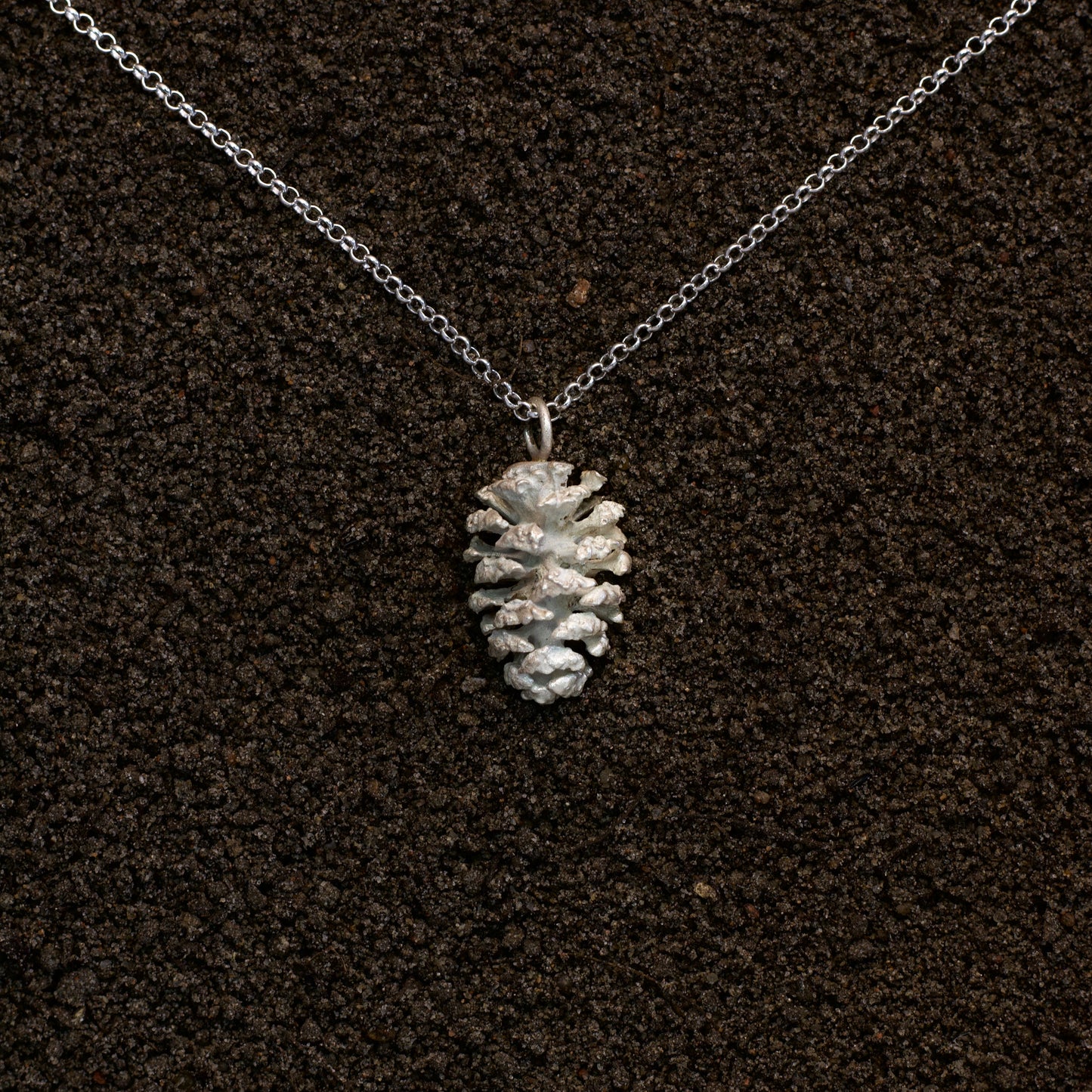 Alder cone