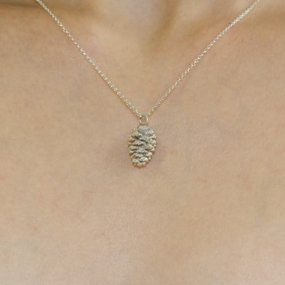 Alder cone