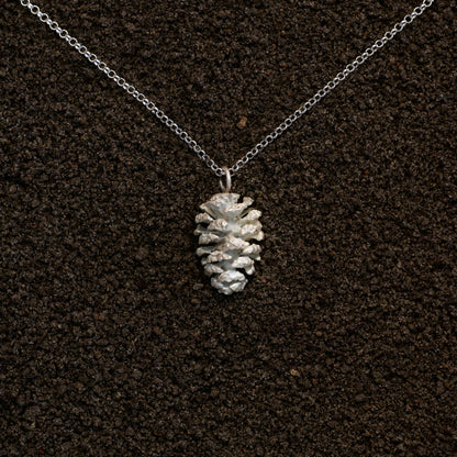 Alder cone