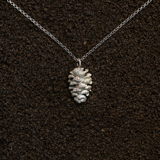 Alder cone